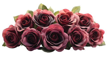 Obraz premium Bouquet of red roses arranged tightly for romantic occasions, isolated on white background