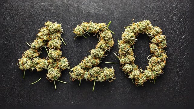 420 Day, Cannabis Day.