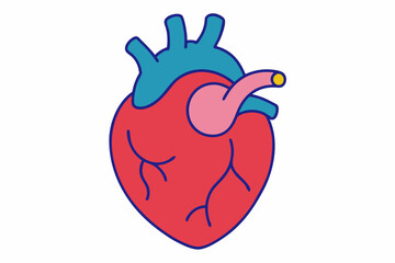 heart vector illustration  