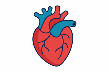 heart vector illustration  
