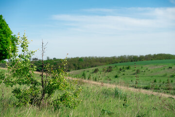 picturesque landscape, field and hills of Ukraine