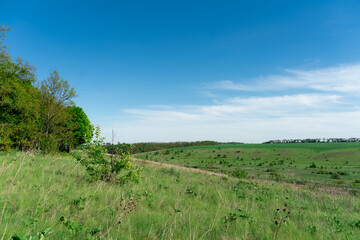 Fototapeta premium picturesque landscape, field and hills of Ukraine