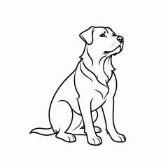 Elegant Line Art Drawing of a Labrador Retriever Dog Sitting on a Transparent Background