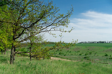 picturesque landscape, field and hills of Ukraine