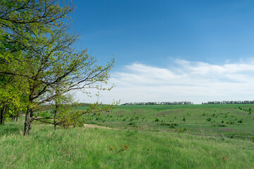 picturesque landscape, field and hills of Ukraine