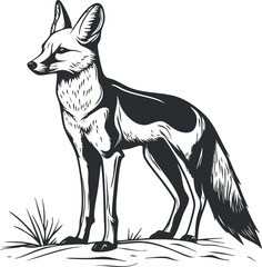 Black and white illustration of a standing fox with large ears and bushy tail in natural environment.