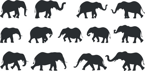 Collection of black elephant silhouettes in various walking poses isolated on white background