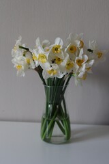 A bouquet of white daffodils in a transparent glass vase on a table. The background features a white wall. The sunlight gently illuminates the flowers and part of the table, adding a warm and cozy fee
