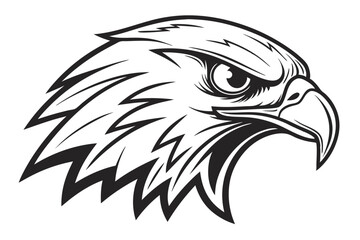 Striking Black and White Eagle Head with Detailed Plumage & Sharp Beak