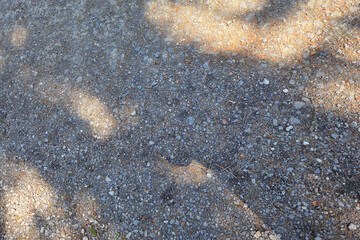 Gravel Pathway with Natural Shadows - Ideal for Background or Texture Design