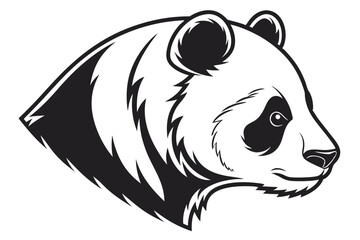 Panda Head Profile, Isolated on White, Black and White, Detailed