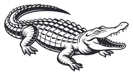 Naklejka premium alligator Line Drawing Isolated on White Background Vector