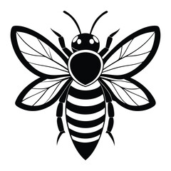 Honeybee Illustration, Simple Design, Stripes, Wings, Insect, Black and White, Nature