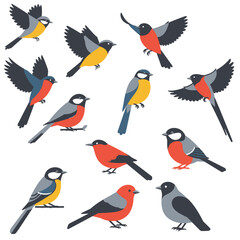 Cute birds. Cartoon colorful sparrow characters, happy flying animals with colorful wings and beaks, zoo and wildlife flat style. Vector isolated set of sparrow character illustration