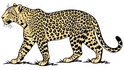 Leopard Line Drawing Isolated on White Background Vector