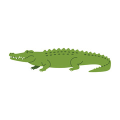 Crocodile. vector illustration of deer in cartoon flat style. Male or female deer wild life animal isolated in white background. Cute different poses deer with long horns for logo, icon, infographic, 