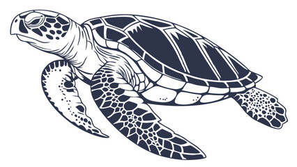 Turtle Line Drawing Isolated on White Background Vector