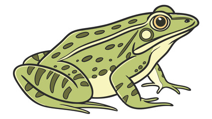 Frog Line Drawing Isolated on White Background Vector