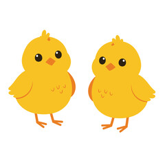 Two cute little chicken are standing together on white background. Concept of newborn chicken on white background. Flat cartoon vector illustration isolated on white background
