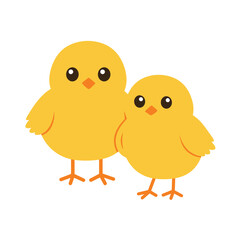 Two cute little chicken are standing together on white background. Concept of newborn chicken on white background. Flat cartoon vector illustration isolated on white background
