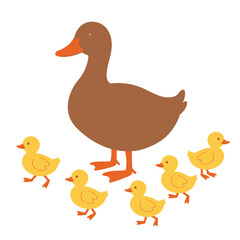 Duck vector illustration of deer in cartoon flat style. Male or female deer wild life animal isolated in white background. Cute different poses deer with long horns for logo, icon, infographic, symbol