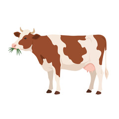 Cow vector illustration of deer in cartoon flat style. Male or female deer wild life animal isolated in white background. Cute different poses deer with long horns for logo, icon, infographic, symbol
