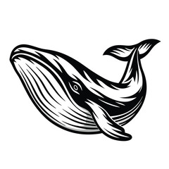 Monochrome Whale Illustration, Marine Mammal, Black and White, Wildlife, Ocean Creature