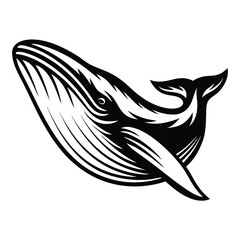 Humpback Whale Silhouette Black and White Isolated Marine Mammal