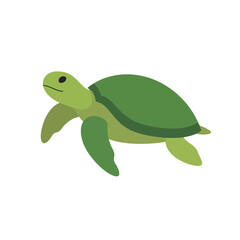 Sea turtle icon. Vector illustration isolated o white background