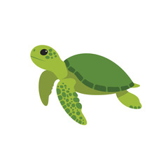 Sea turtle icon. Vector illustration isolated o white background