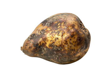 Obraz premium Single Potato on White Background