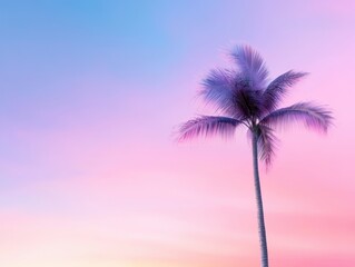 Naklejka premium Pastel sky with palm tree