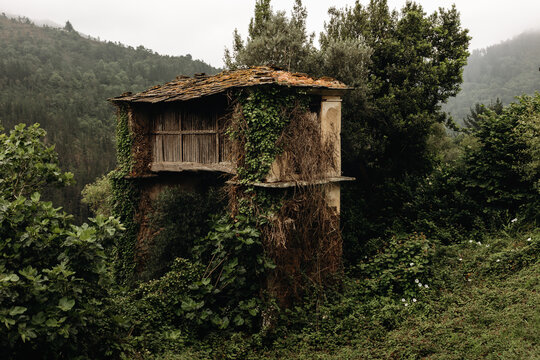 Ancient Galician granary covered in vegetation in a rural mountainous landscape