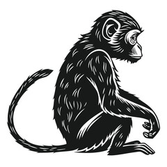 Black & White Silhouette of a Monkey Sitting, Curled Tail, Forest Animal, Wildlife