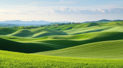 Fototapeta premium Lush green rolling hills under a light blue sky