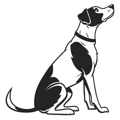 Sitting Dog Silhouette Alert Black and White Canine with Collar Looking Upward