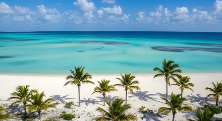 Aerial View of a Tropical Beach with Turquoise Water and Palm Trees