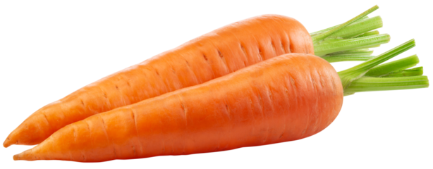 Carrot png. Carrot on white or transparent background. Perfect retouched two carrots no background. Transparent png. Full depth of field.