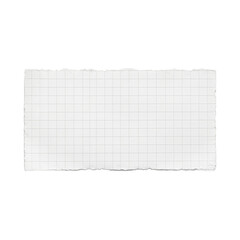 Isolated torn piece of graph paper on white background