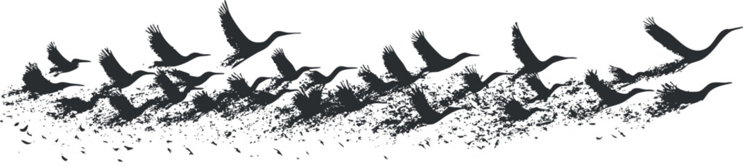Black silhouette illustration of birds flying in formation depicting migration and freedom in nature