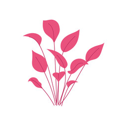 Decorative aquarium algae. Pink leaves. Underwater flora, plant. Flat illustration oceanic, riverine, sea or lakeine seaweed on white.