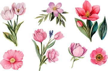 bouquet of pink tulips