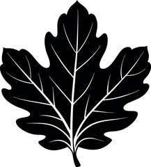 Oak Leaf Silhouette Vector – Simple Black Nature Element