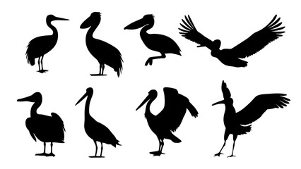 set of water birds silhouette vector on tranparent background