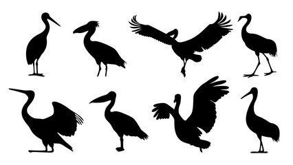set of water birds silhouette vector on tranparent background