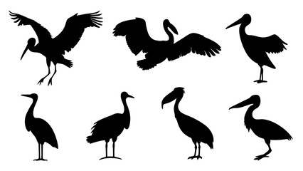 set of water birds silhouette vector on tranparent background