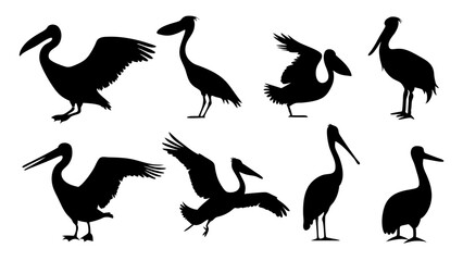 set of water birds silhouette vector on tranparent background