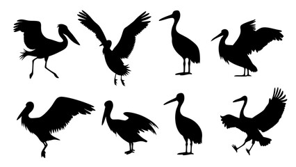 set of water birds silhouette vector on tranparent background