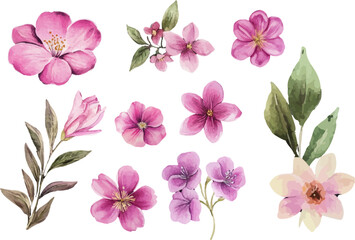 set of pink flowers