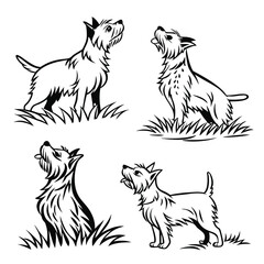 West Highland White Terrier Breed Various Poses, Looking Up, Line Art Style